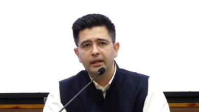 Raghav Chadha