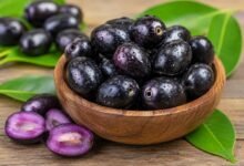 Jamun